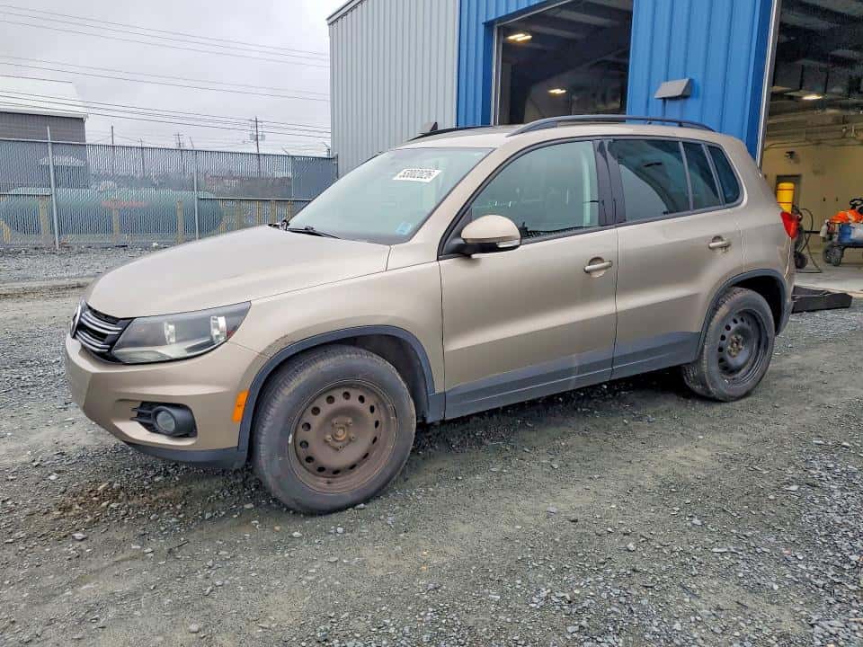 2015 INNE TIGUAN 20