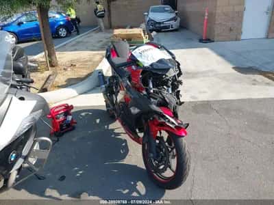 2019 INNE EX400