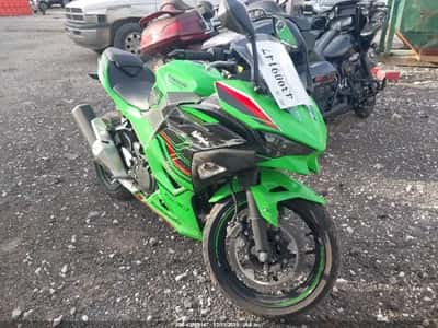 2024 INNE EX500