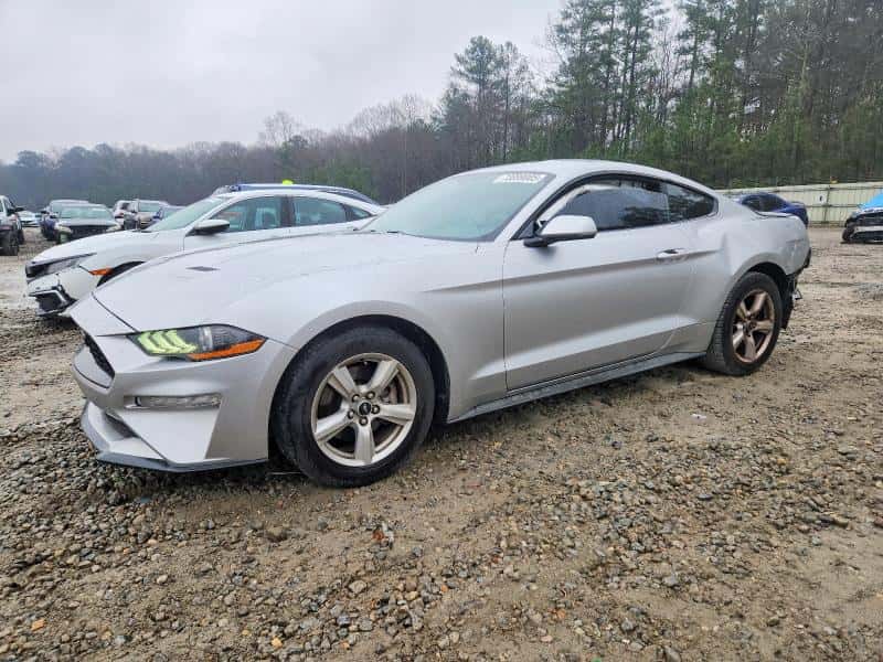 2019 FORD ALL MODELS