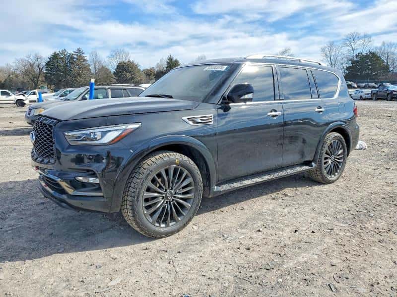 2024 INFINITI QX80