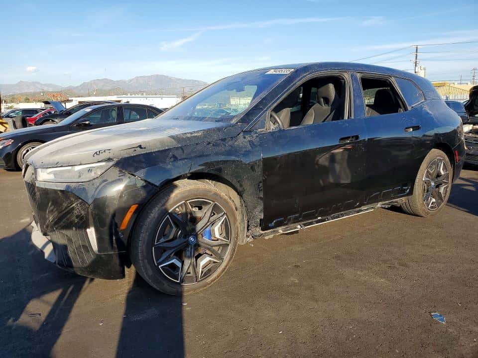 2025 BMW IX