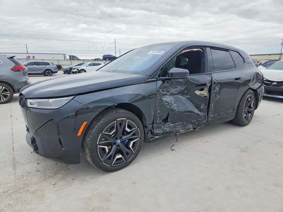 2025 BMW IX