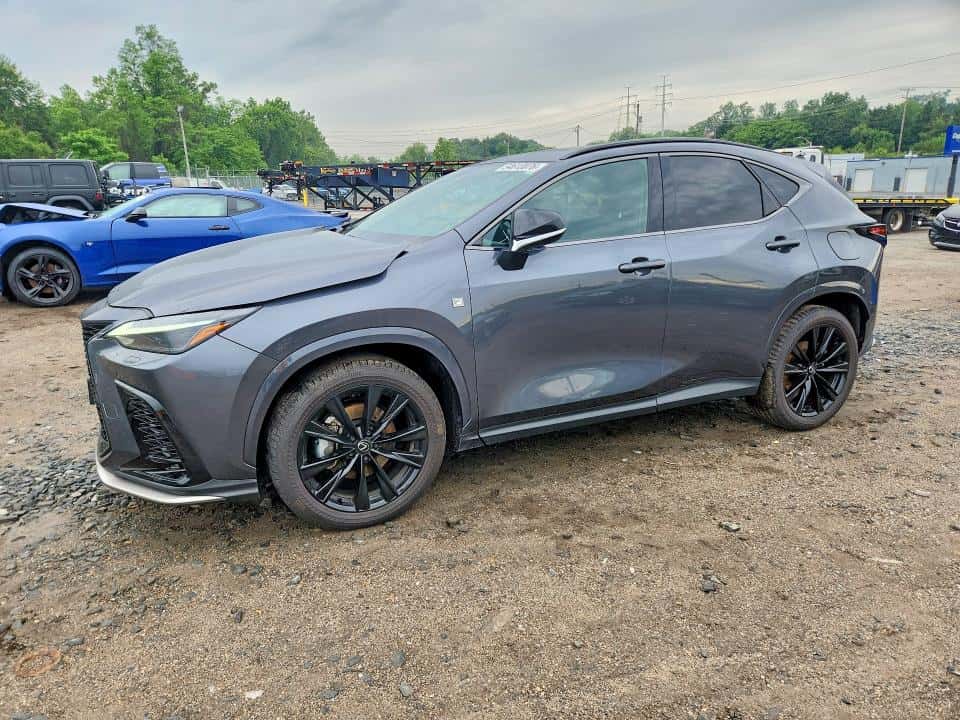 2024 LEXUS NX