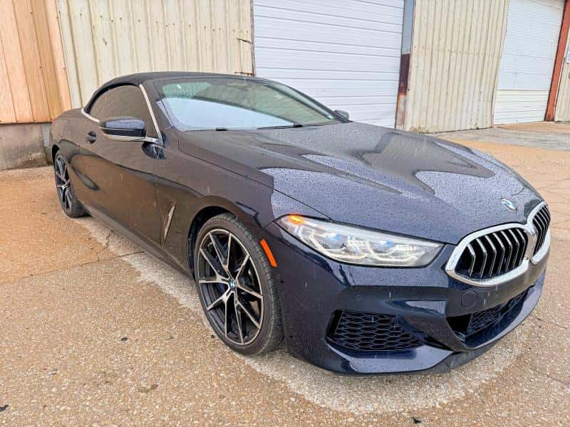 2019 BMW M8