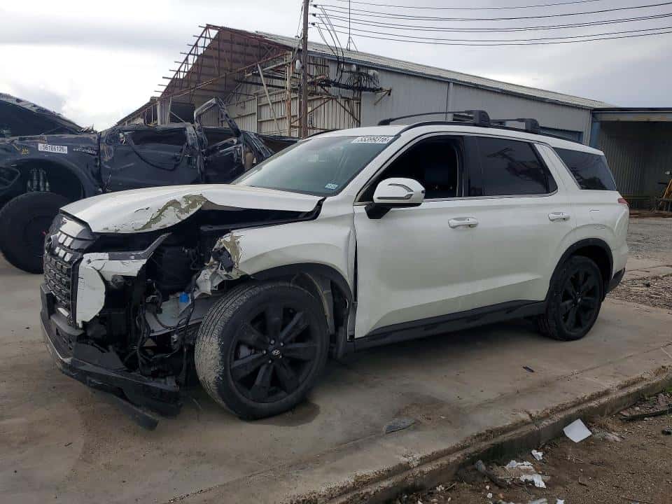 2024 HYUNDAI PALISADE