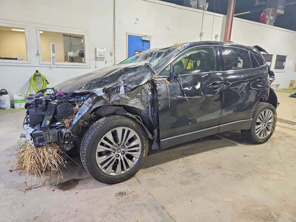 2021 TOYOTA VENZA