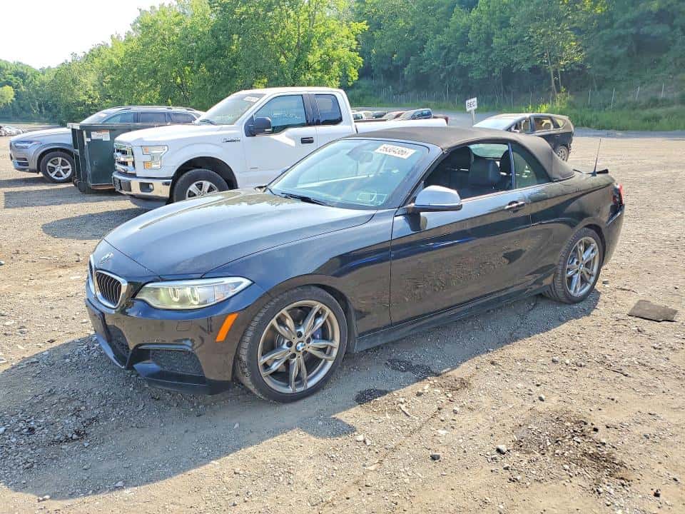 2016 BMW M2