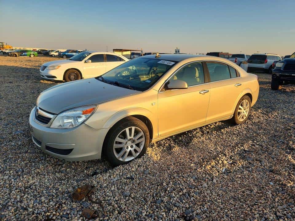 2009 INNE AURA