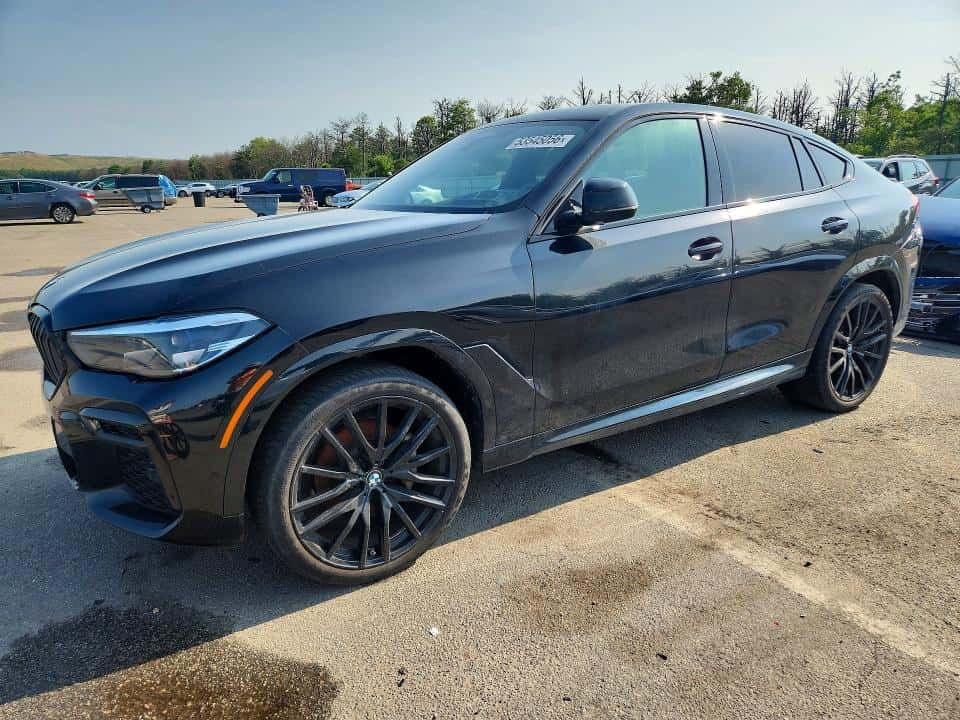 2023 BMW X6