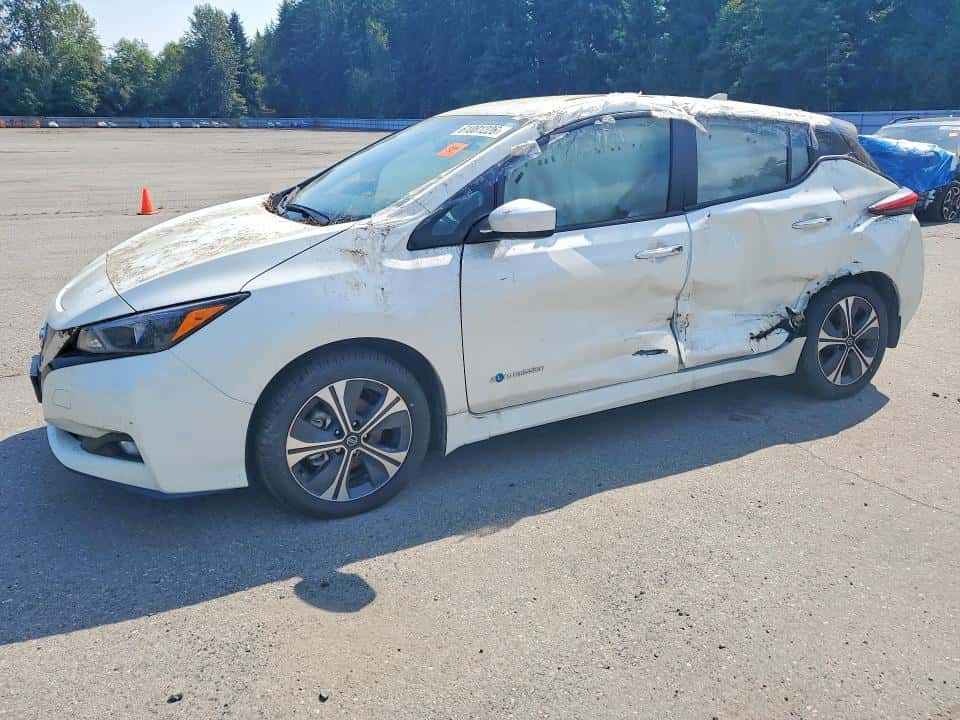 2019 NISSAN LEAF