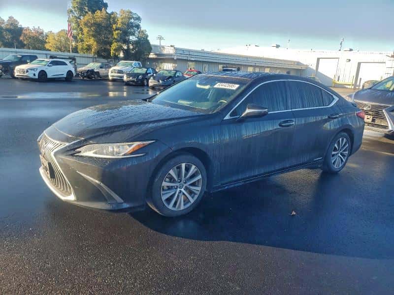 2020 LEXUS ES 300H
