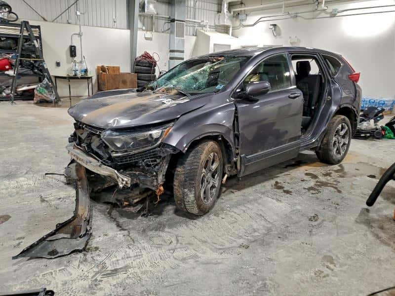 2019 HONDA CRV