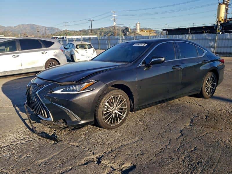 2024 LEXUS ES 300H