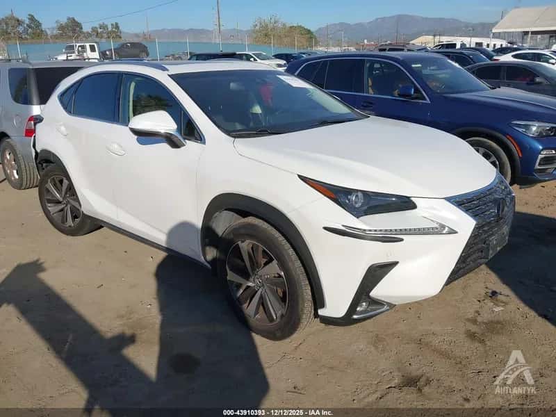 2018 LEXUS NX 300